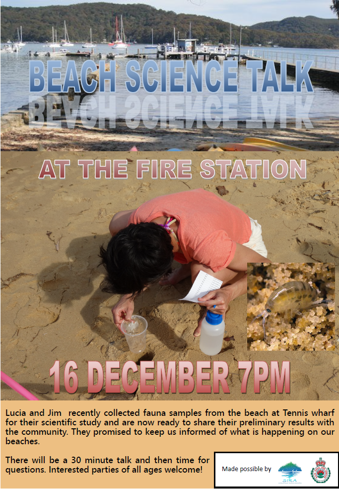 Beach Science talk